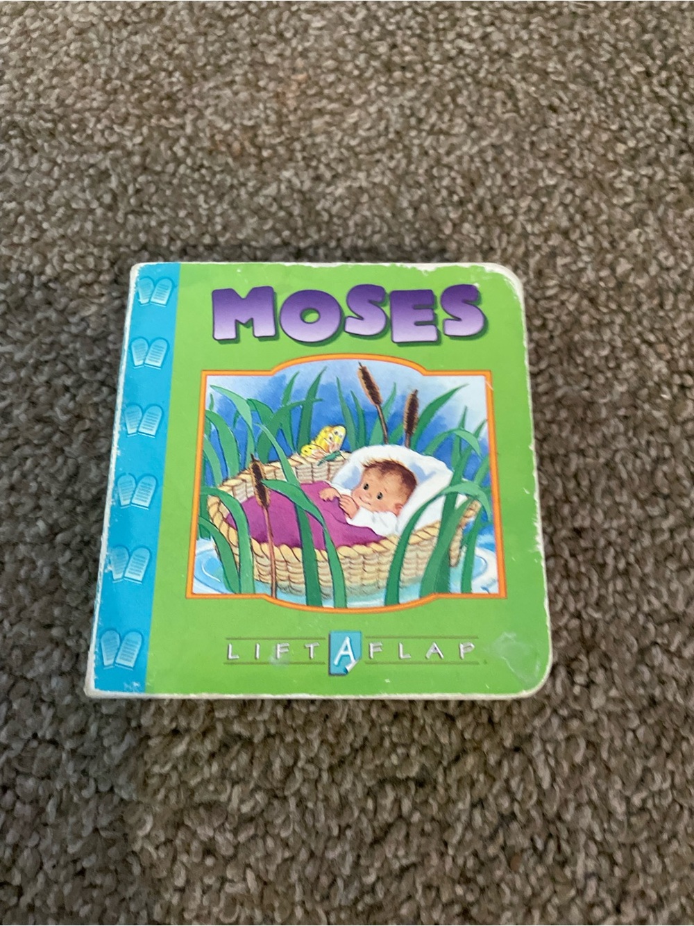 Moses Lift-and-Flap Board Book - Green